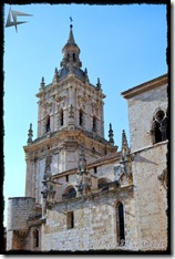 Burgo_De_Osma (33)