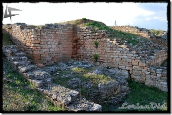 Uxama (6)