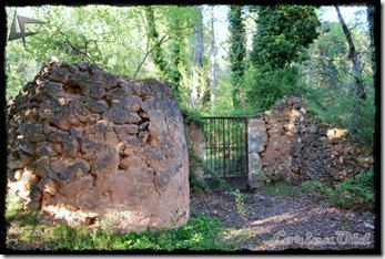 Fuentetoba (17)