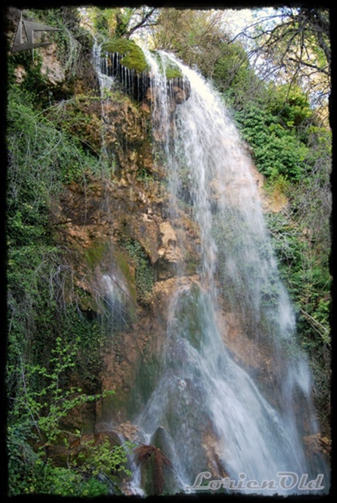 [Fuentetoba13.jpg]