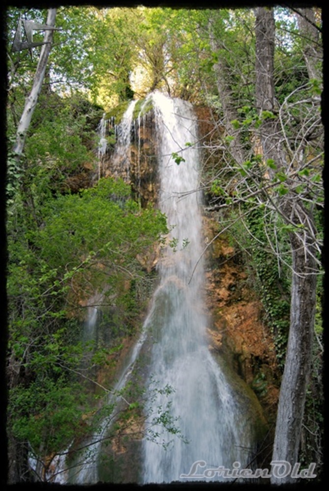 [Fuentetoba103.jpg]