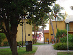 DSC01564.JPG