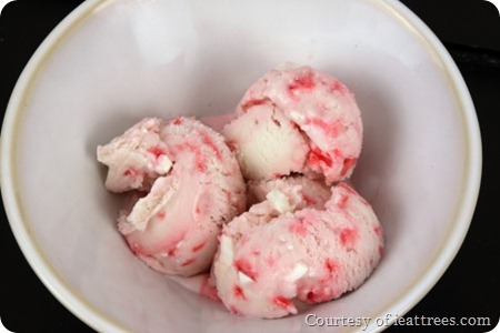 peppermint3-500x333