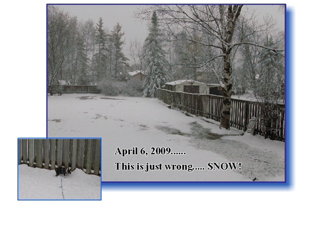 [April 6,2009 SNOW[4].jpg]