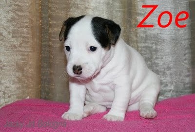[zoe[4].jpg]