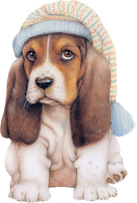 [cãododóivddh4voq[6].png]