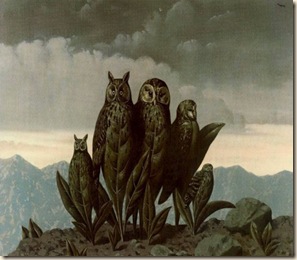 Magritte, corujas