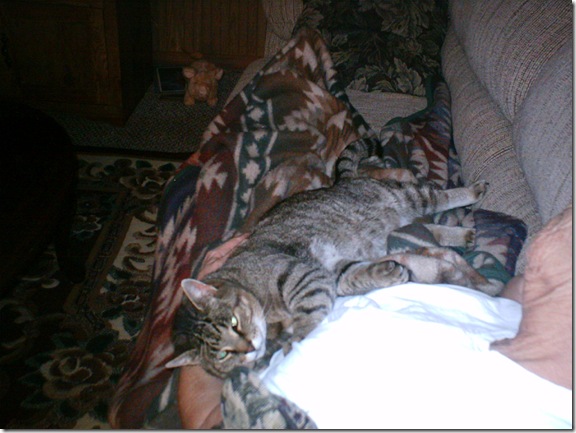 snuggled up