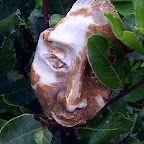  Earth (Gallery)