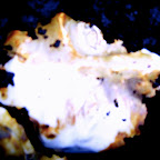  Earth (Gallery)