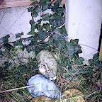  Earth (Gallery)