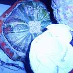 Earth (Gallery)