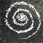  Portraits of Impermanence (Gallery)