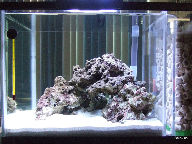 DSCF7504.JPG
