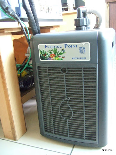 DSCF7551.JPG