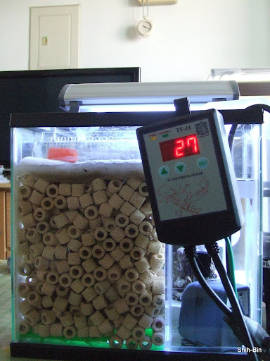 DSCF7552.JPG