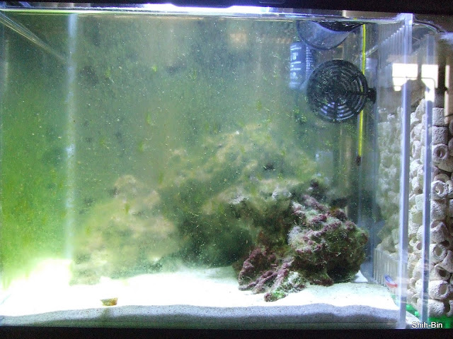 DSCF8122.JPG