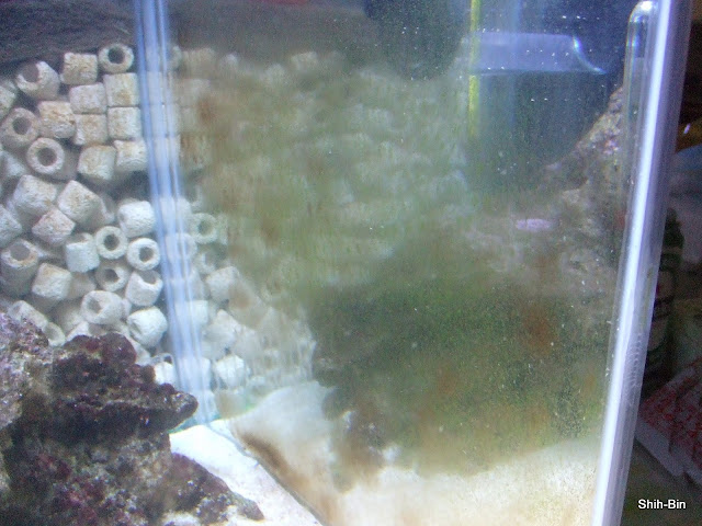 DSCF7794.JPG