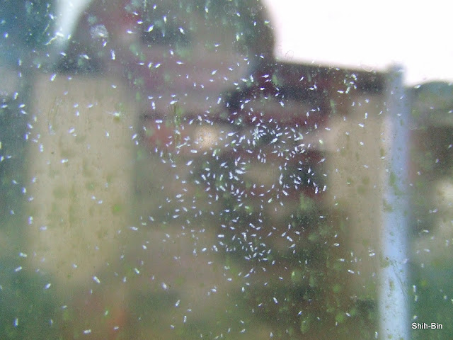 DSCF7879.JPG