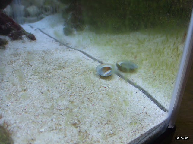 DSCF7905.JPG