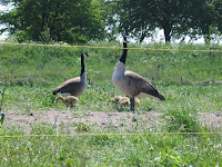 IMG_0976.JPG Photo