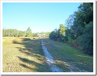 deer up ahead1