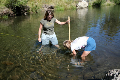 Sarah and Debbie collect bugs