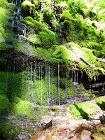Trinity Alps 015.JPG