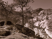 P1010047.JPG