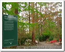 IMG_9865 IMG_9865