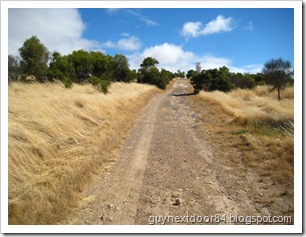 IMG_0810 IMG_0810