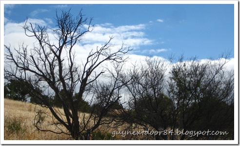 IMG_0850 IMG_0850