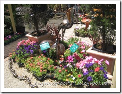 IMG_6337 IMG_6337
