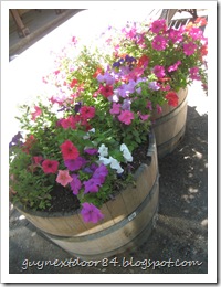 IMG_6405 IMG_6405