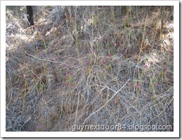 IMG_7166 IMG_7166