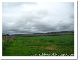 IMG_8311 IMG_8311