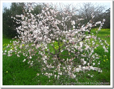 IMG_8228 IMG_8228