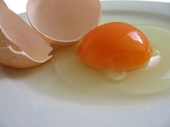 Uova-e-colesterolo