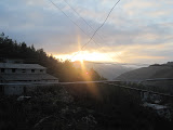IMG_1901.jpg