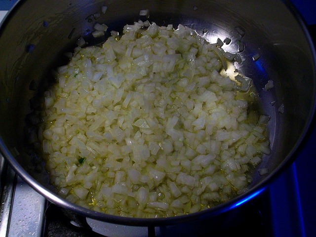 [onions cooking[14].jpg]
