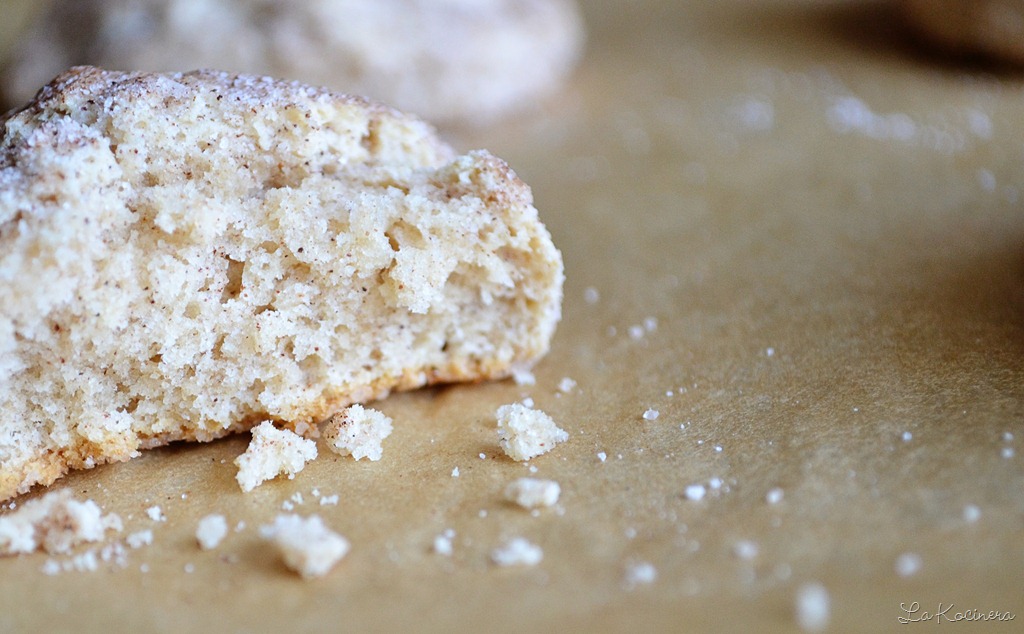 [snickerdoodles-619.jpg]