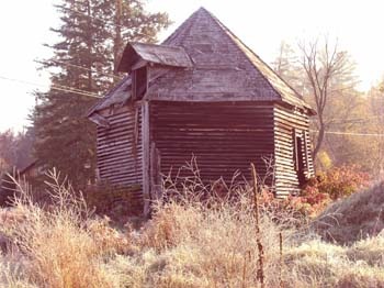 [shed 8[2].jpg]
