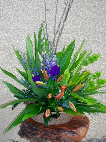 [flowers20100184.jpg]