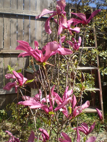 [september20100074.jpg]