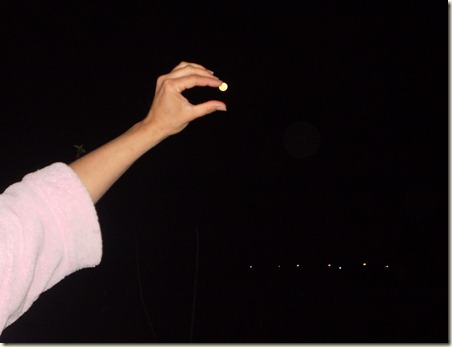 september 2010 047