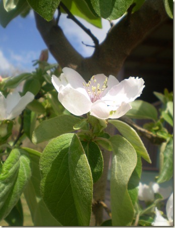 september 2010 009