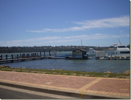 november 2010 017