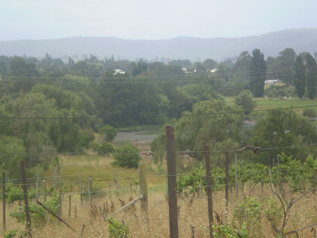 [december20100303.jpg]
