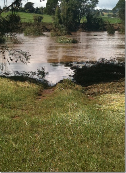 flood march 2011 025_thumb[1]