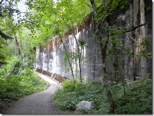 DSCN0988